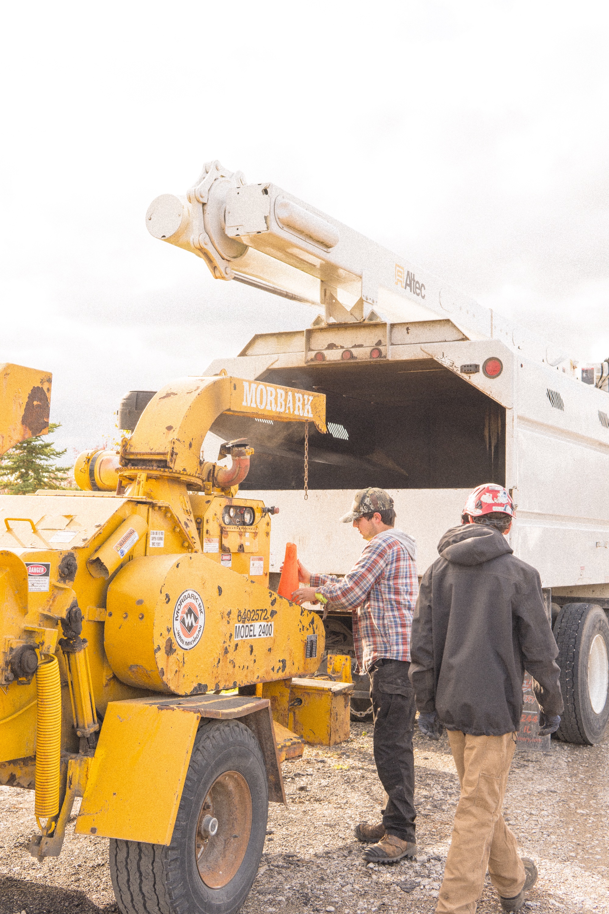 Tree Service Project 2